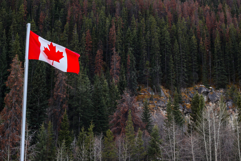 飘扬加拿大国旗图片