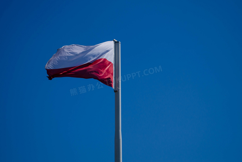 飘扬波兰国旗图片