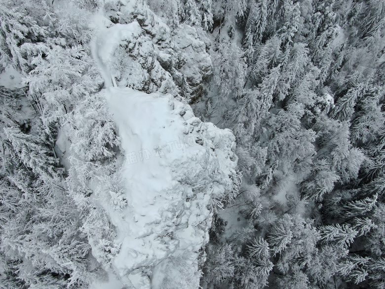 白雪森林冬季风景图片