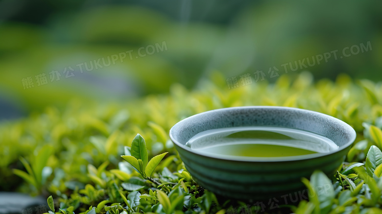 绿色春季小清新绿茶图片