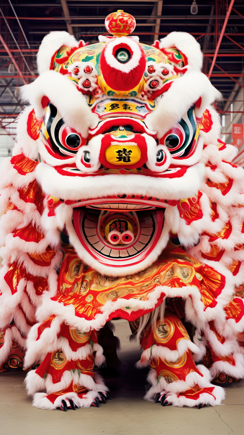 中国传统民俗活动舞狮表演图片