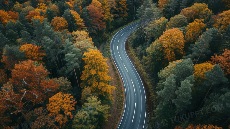 唯美秋季弯曲公路景色图片