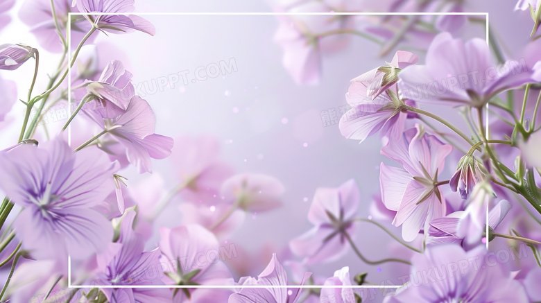淡紫色调鲜花装饰边框图片