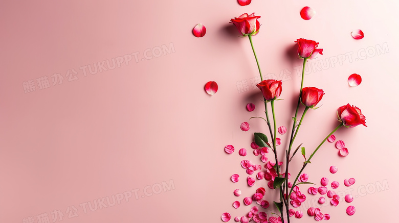 粉红背景前的鲜花装饰图片