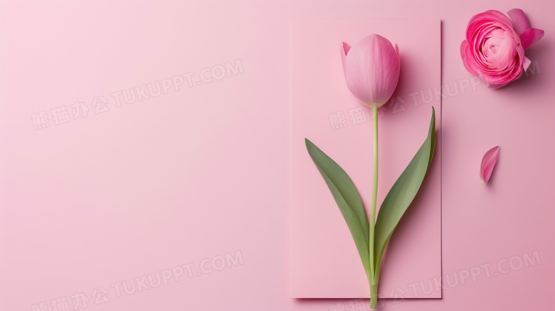 妇女节粉色鲜花图片