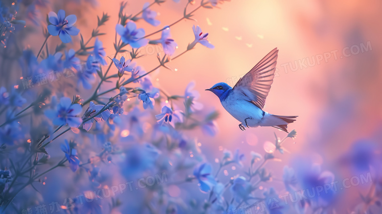 蓝色野花丛旁的蓝色小鸟图片