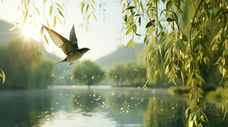 绿色春季飞舞的燕子图片