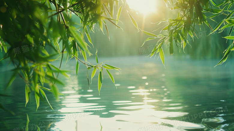 春季谷雨水面植物风景图片