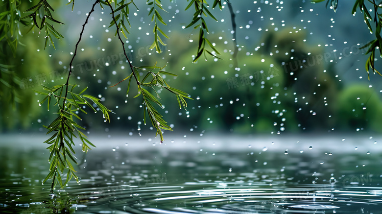 雨水丛湖边柳树枝上滴落到湖面图片