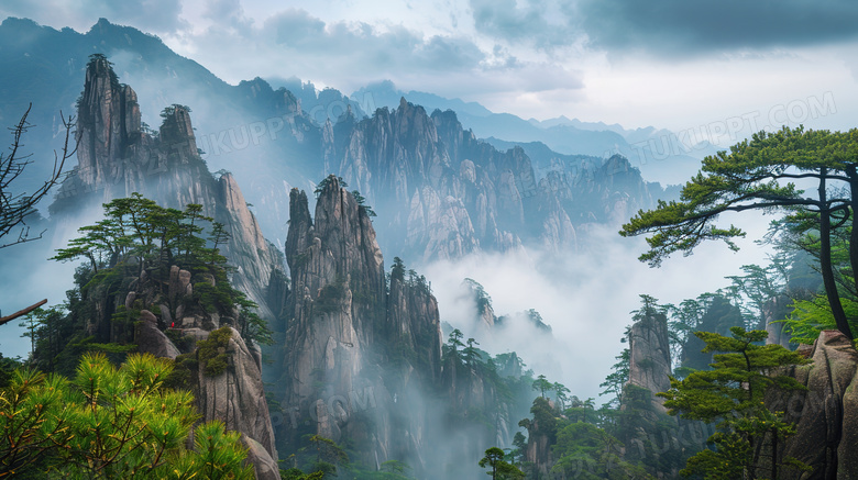 唯美黄山云海松树自然风景图片