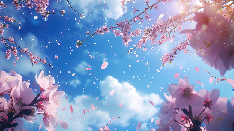 樱花树林里仰望蓝天的图片