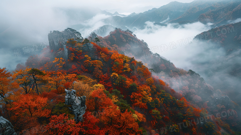 秋季大自然风景图片