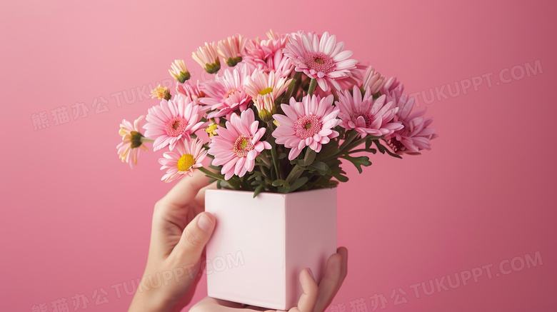 唯美粉色花朵盆栽图片