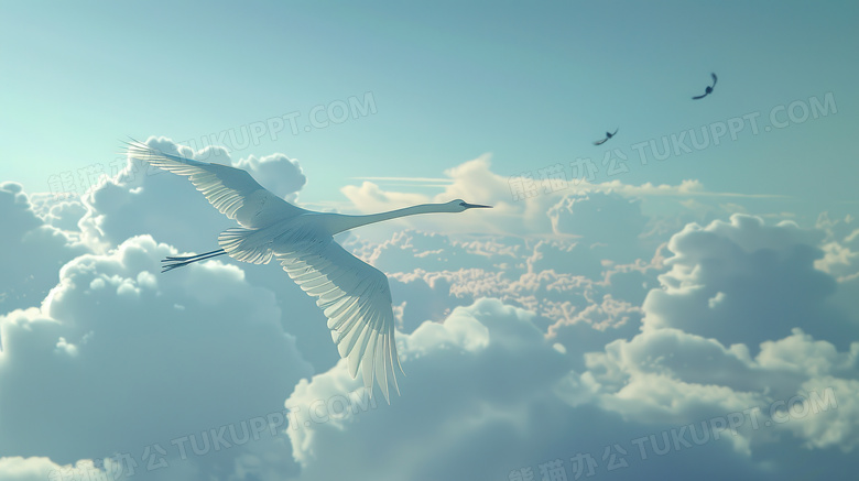 空中展翅飞翔的白色仙鹤图片