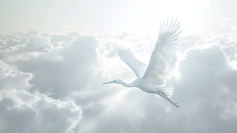 空中展翅飞翔的白色仙鹤图片