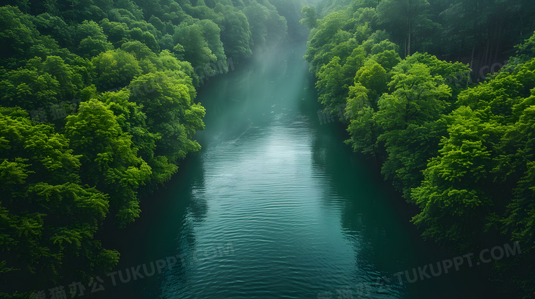 春天森林阳光河流清晨唯美高清图片