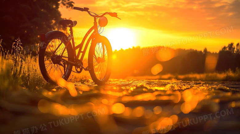 阳光照射草地自行车图片