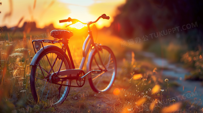 阳光照射草地自行车图片