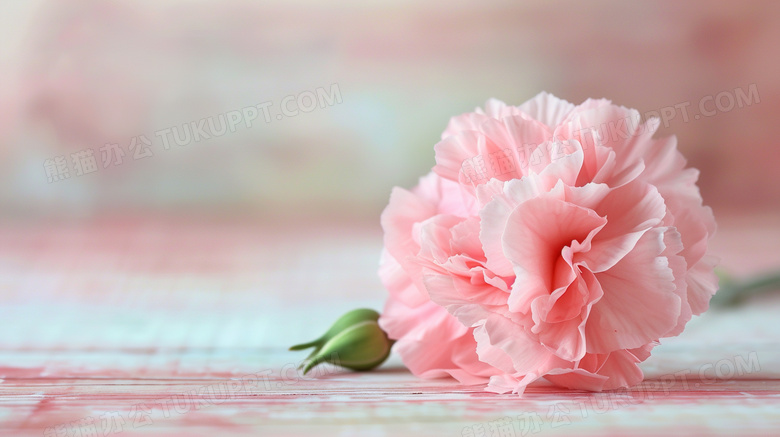 桌面上的粉色康乃馨花束图片