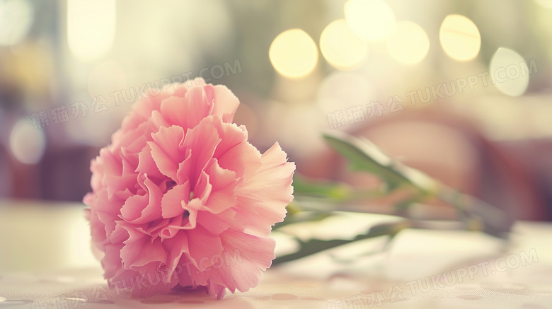 桌面上的粉色康乃馨花束图片