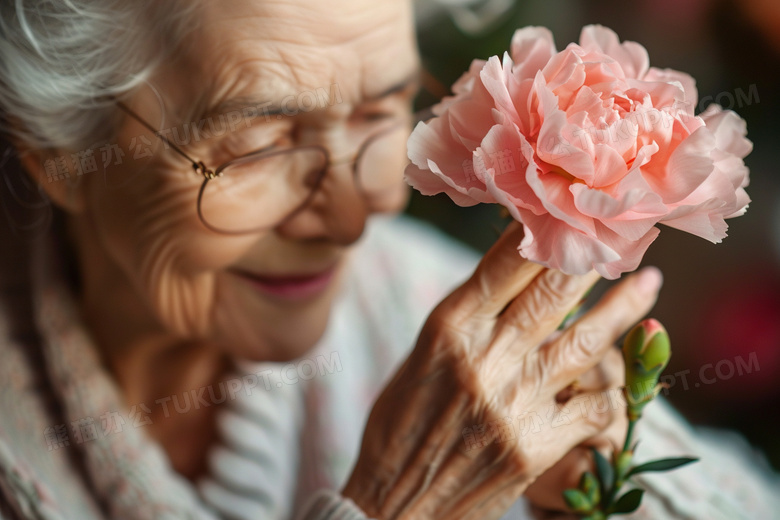 送给妈妈的康乃馨鲜花