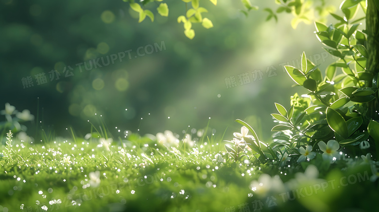 清晨草地露珠绿色小清新高清图片