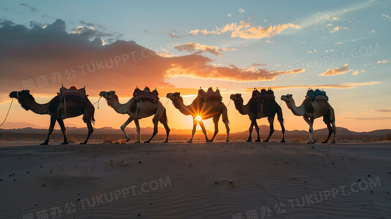 夕阳落日下的沙漠驼队图片