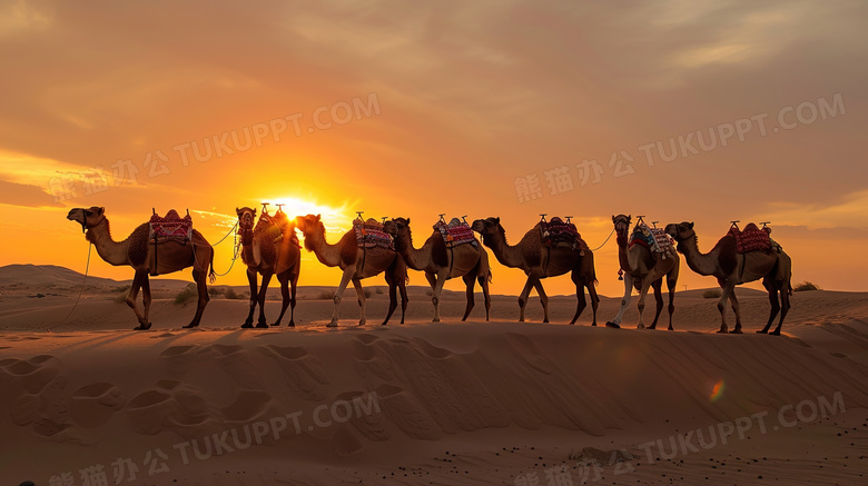 夕阳落日下的沙漠驼队图片