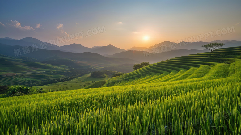 黄昏时刻的青青山丘图片