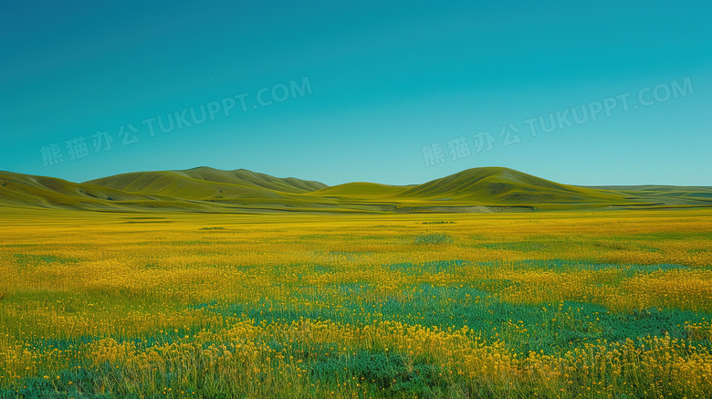 新疆的草原自然风景图片