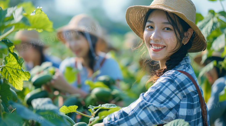 美女丰收黄瓜图片