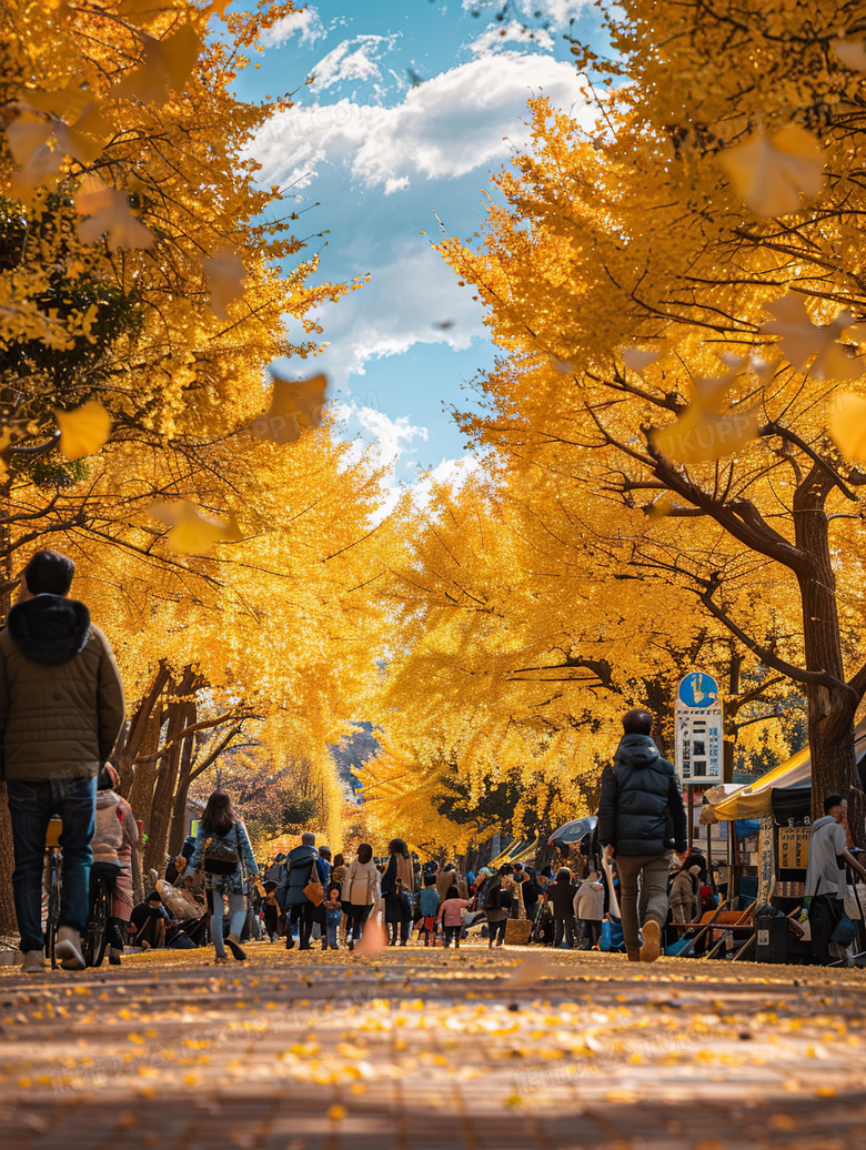 金色秋天的落叶道路图片