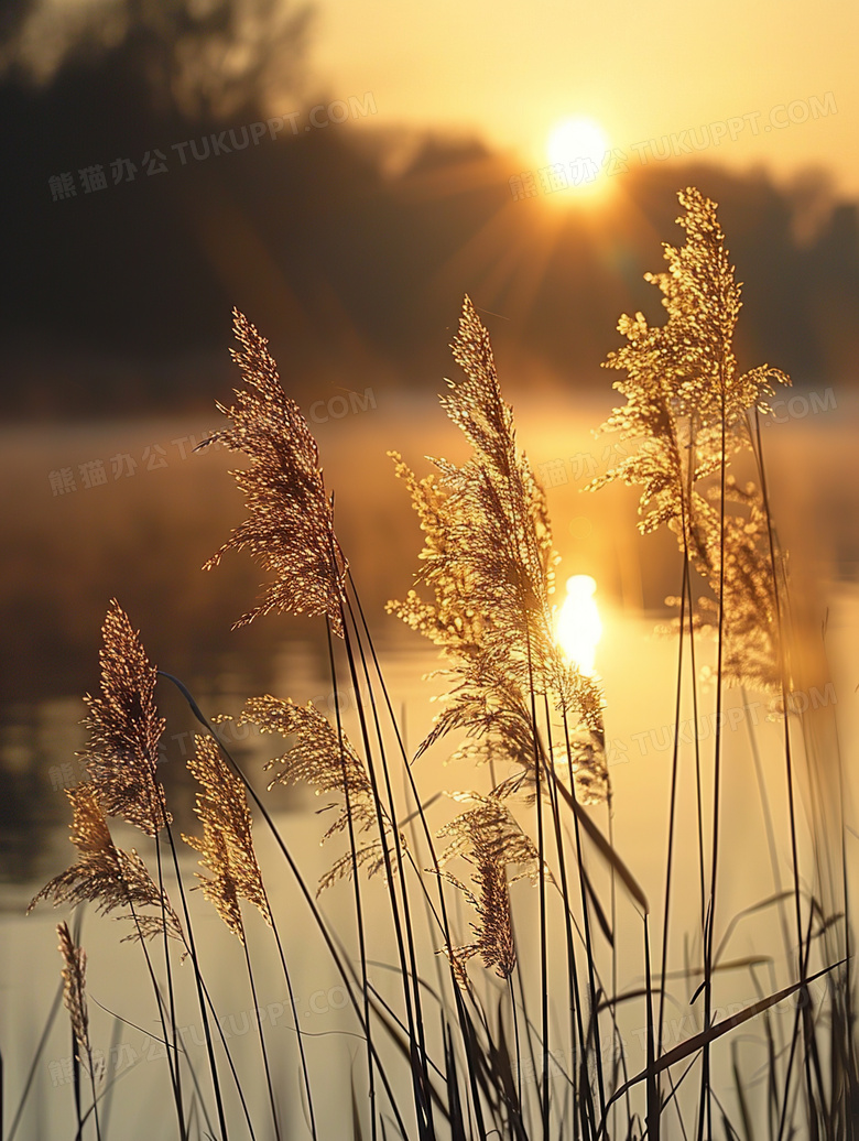 秋天湖边风景立秋图片