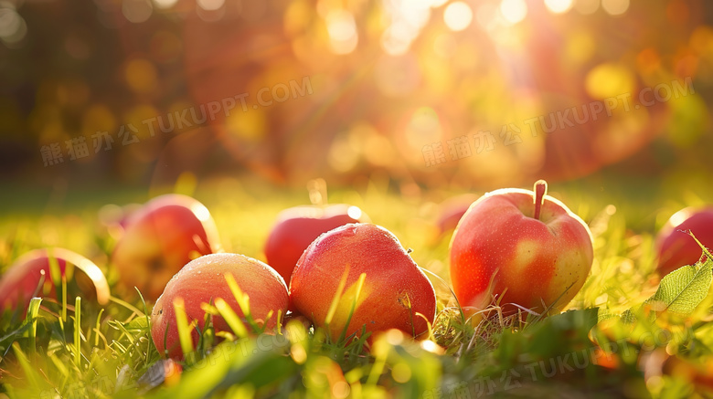 草地上的水果苹果图片