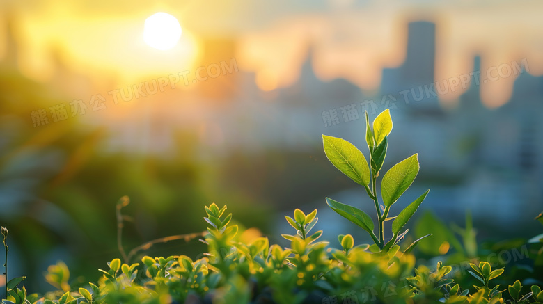 城市节能环保生机绿植图片