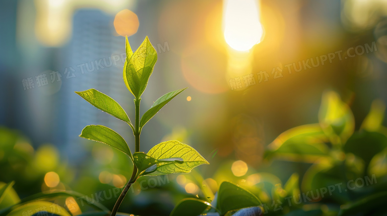 城市节能环保生机绿植图片