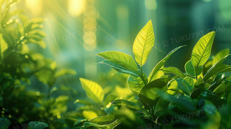 城市节能环保生机绿植图片