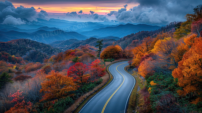 秋天公路风景落叶图片