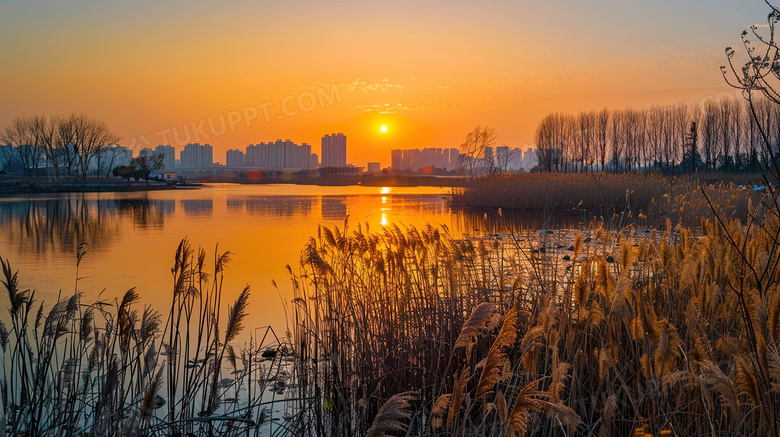 芦苇湖边日落夕阳风景图片