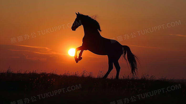 夕阳下骏马的剪影身影图片