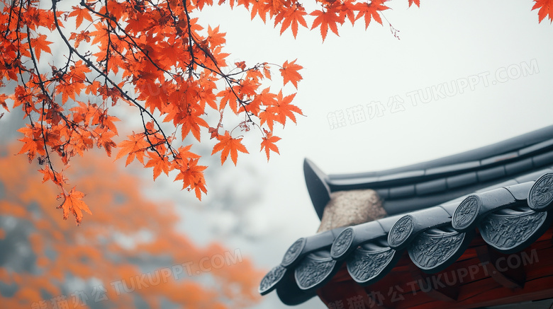 枫叶秋天古代建筑故宫图片