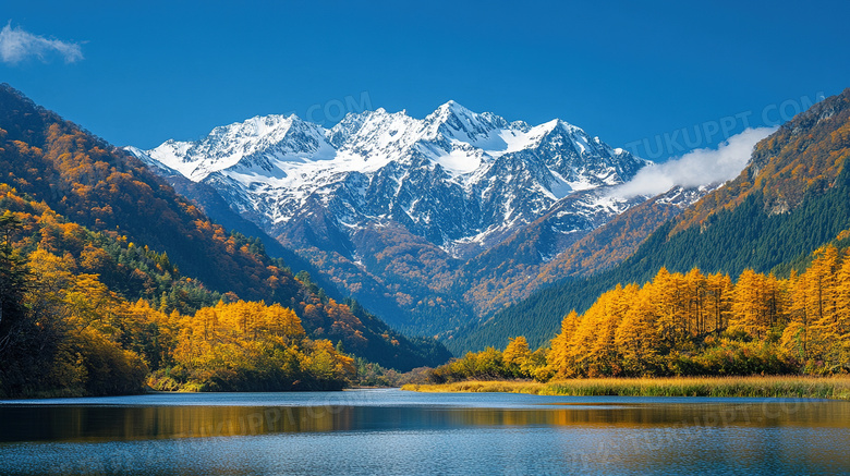 自然风景雪山与河流森林图片
