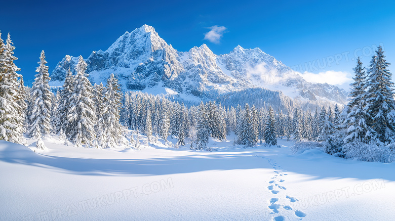 自然风景雪山雪地树林插画