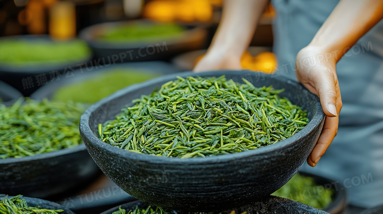 绿色茶叶茶田的图片