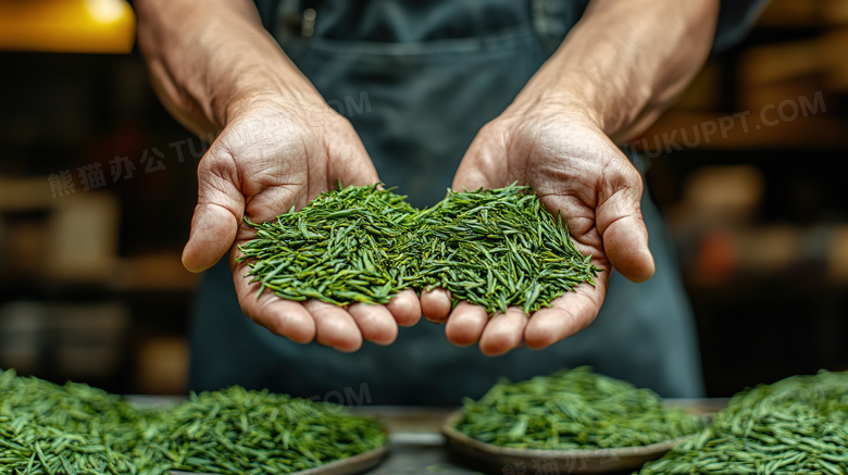 绿色茶叶茶田的图片