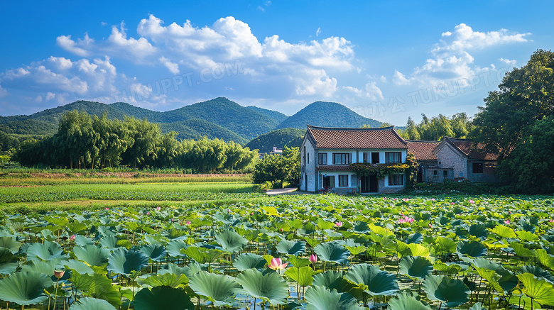 乡村农村民房荷塘风景图片