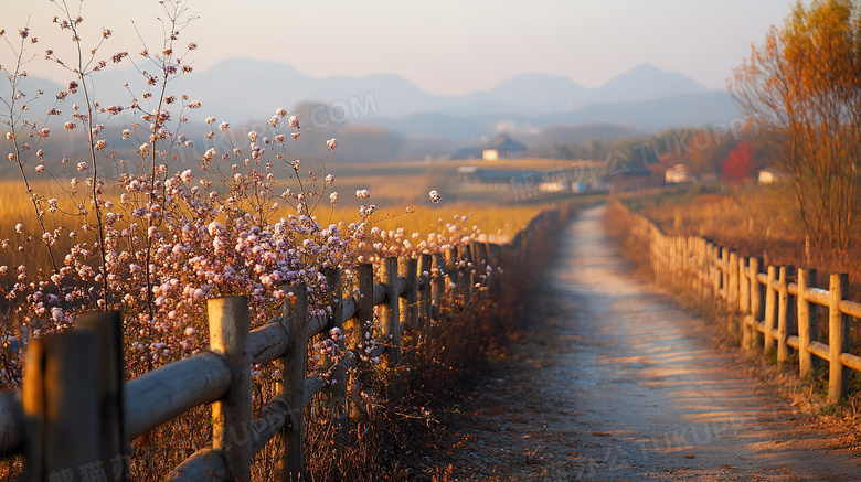 乡村农村栅栏小路风景图片