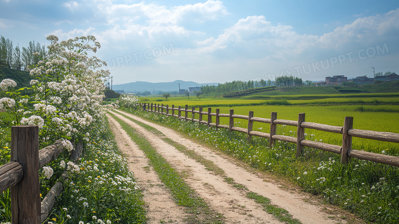 乡村农村栅栏小路风景图片