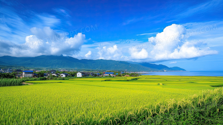 农村麦田乡村建设风光图片