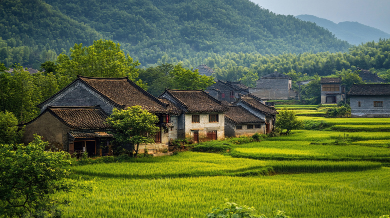 乡下农村美丽乡村图片